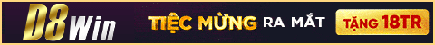 top banner