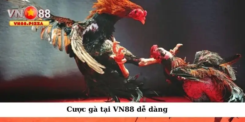 Cược gà tại Vn888 dễ dàng