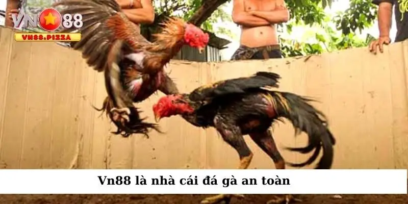 Vn888 là nhà cái đá gà an toàn