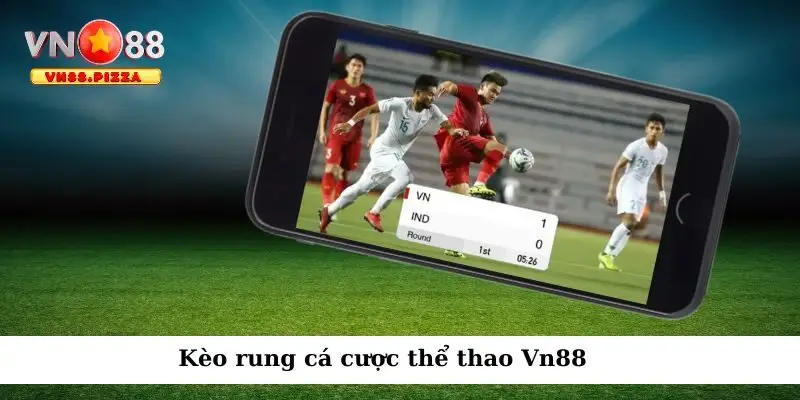 Vn888 cung cấp nhiều hình thức chơi kèo rung